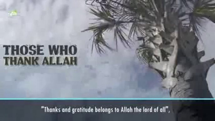 Thanking Allah Night & Day  By Sheikh Bilal Assad