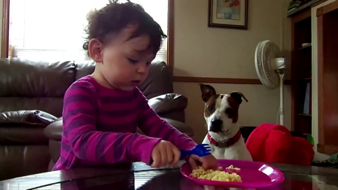 Des bébés jouent avec des chiens :: adorable compilation!