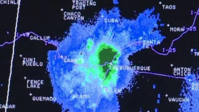 Grasshopper Swarm Shows On Weather Radar