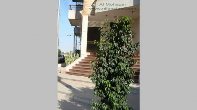 Street Commercial Store In Major Street For Sale In Heliopolis