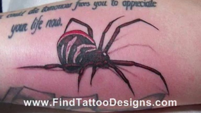 Spider Tattoos Designs FOr Download