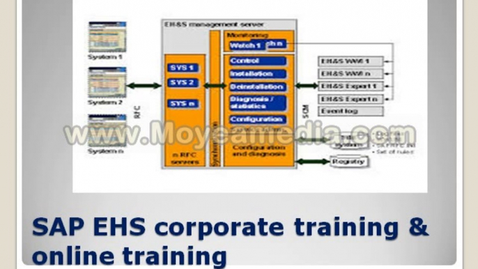 SAP EHS corporate training and online training