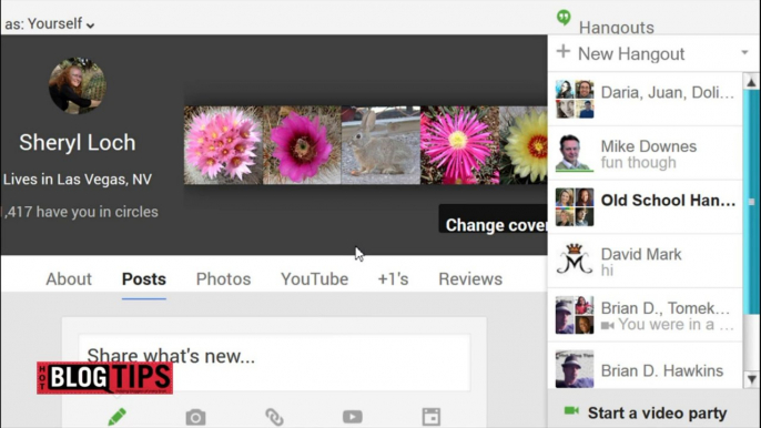 Clear Hangouts Box in Google Plus