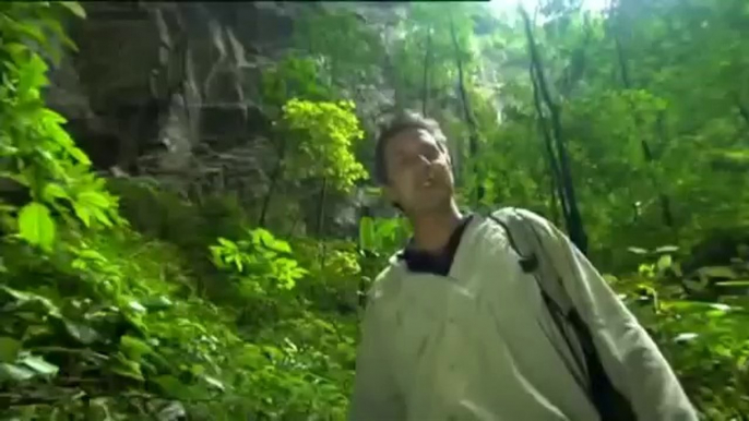 The World's Largest Cave in Vietnam - Amazing forest inside Son Doong Cave