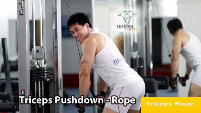 Triceps Pushdown Rope tập thể hình săn chắc cơ tay sau