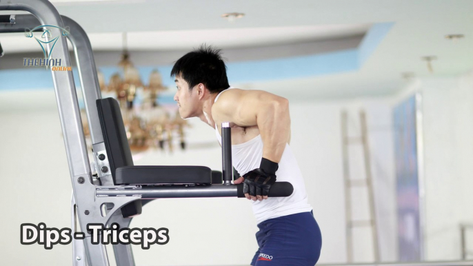 Dips Tricep chống xà kép tập tay sau đúng cách trong thể hình