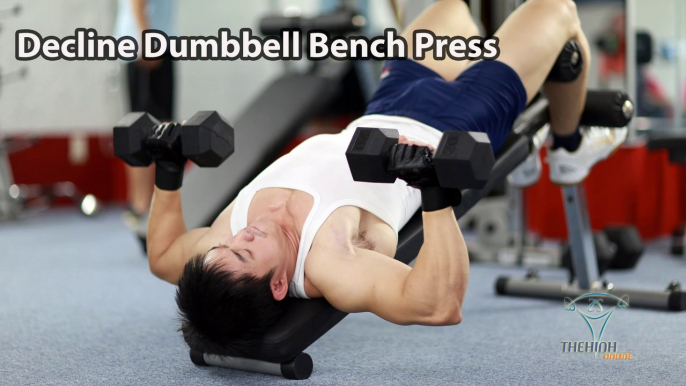 Decline Dumbbell Bench Press đẩy ngực dưới bằng tạ đôi thể hình