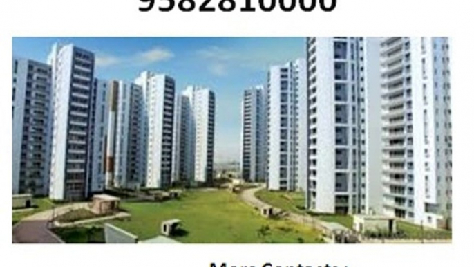 Amrapali Castle Greater Noida – Call US 9582810000