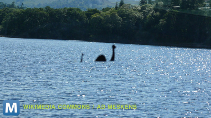 18 Months With Loch Ness Monster Sightings