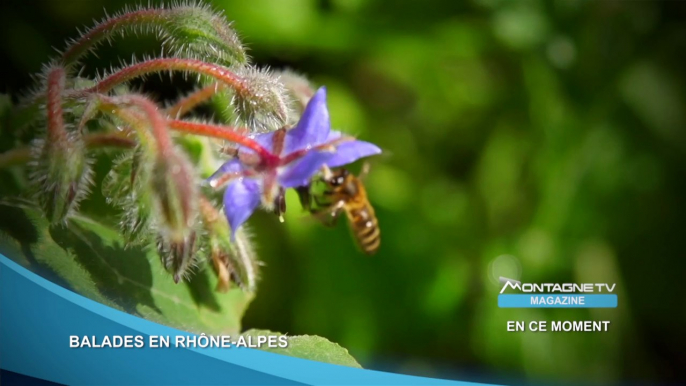 Rhône - Balades en Rhône Alpes - Bande Annonce - 2014