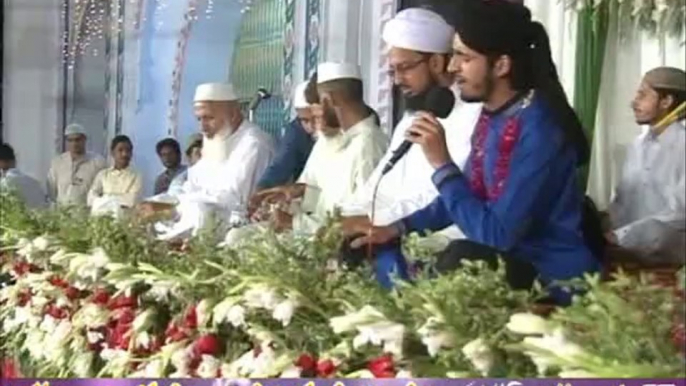 Aisa Tuje Khaliq Ne Tarahdar Banaya By Muhammad Umair Ali Qadri Ary Qtv at Mehfil-e-Naat Dinga (Part-3)