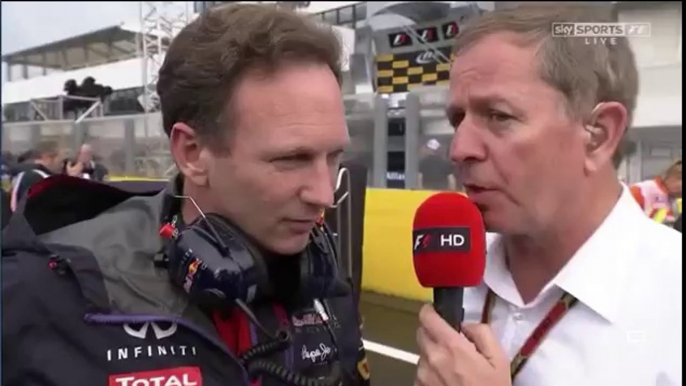 F1 2014 - 11 Hungarian GP - Pre-Race  Grid Walk with Martin Brundle