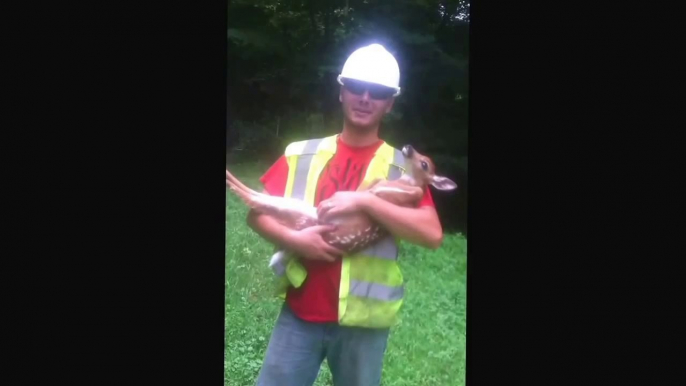 Cute baby deer needs hugs. Adorable!