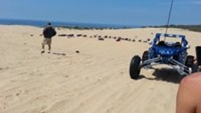 Truck Jump and Crash at Silver Lake Sand