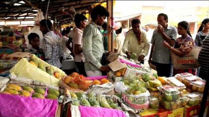 Varieties of mangoes for sale during International mango festival in Delhi