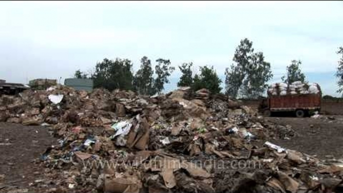 Paper trash collected for recycling at a recycling yard in India