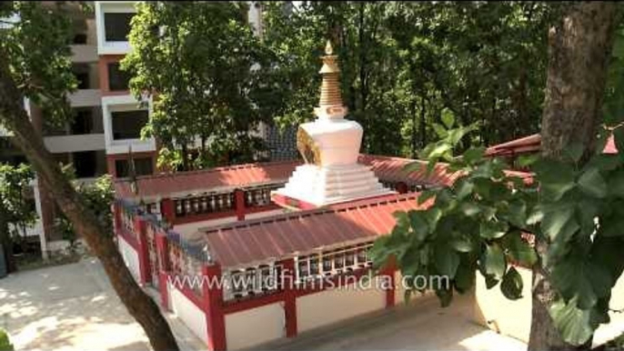 Mantra-Taming stupa: one of the Buddha's eight types of stupas - Dehradun