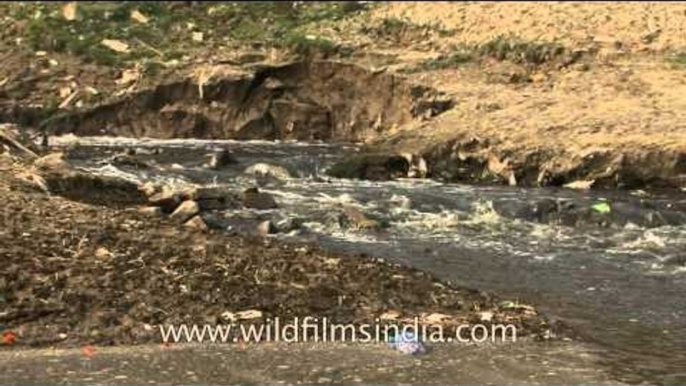 Polluted banks of River Ganges in Varansi