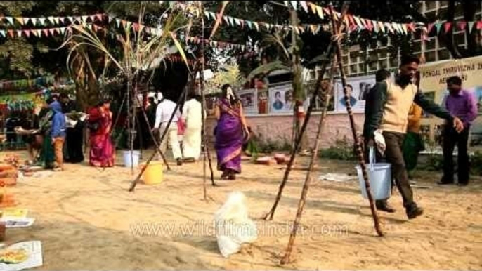 Tamil Nadu House, New Delhi during Pongal celebrations