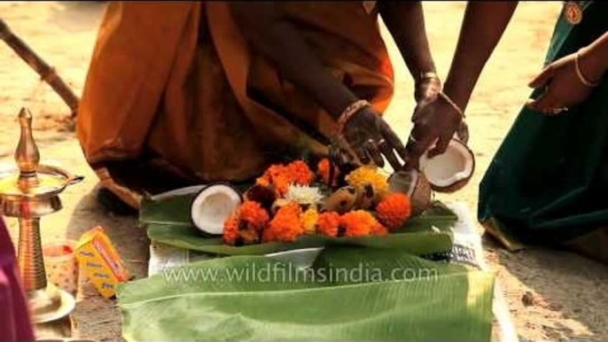 Preparations for offerings during Pongal festival