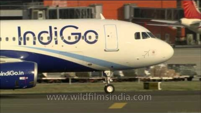 Indigo and Air India planes taxiing at Delhi airport