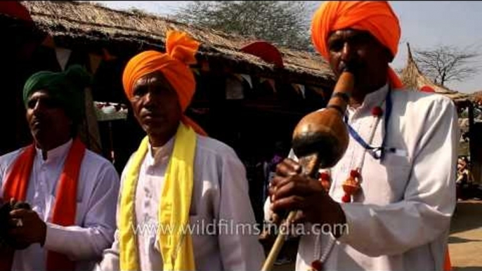 Traditional performance by Folk musicians at Surajkund Mela