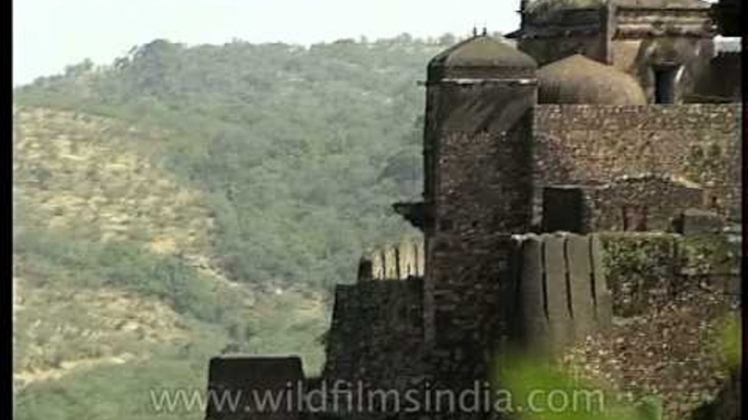 Ramparts of Rajasthan's Ranthambhor Fort