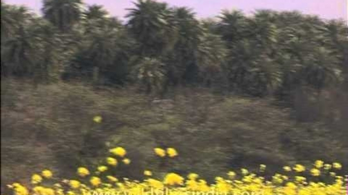 Awagarh farmers in mustard fields, Uttar Pradesh