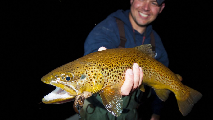 Hook Shots: Mousing Nighttime Browns