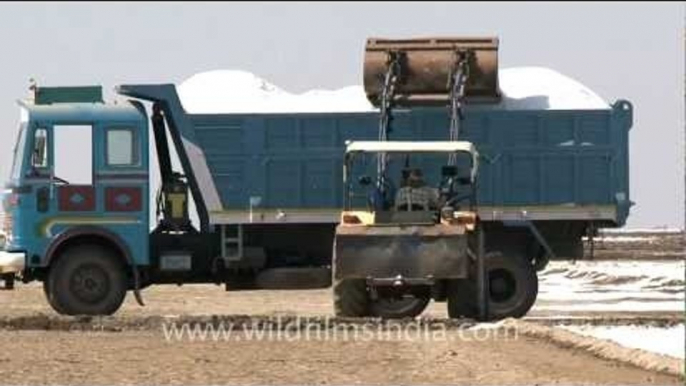 Backhoe loader loading salt onto a truck