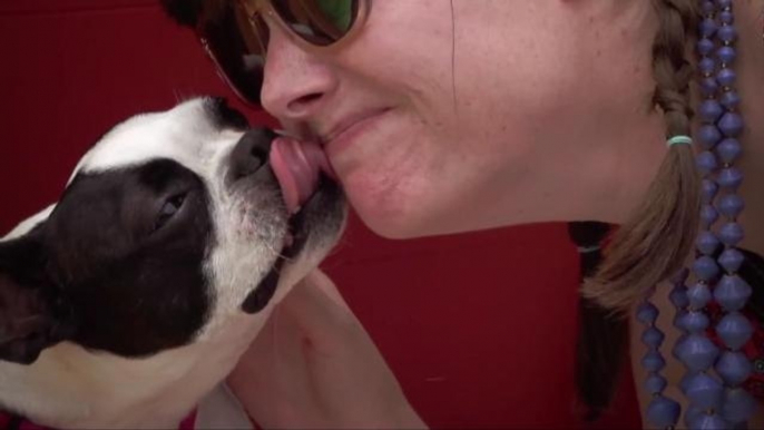 State Fair's Kissing Booth Captures Dog Smooches in Glorious Slow Motion