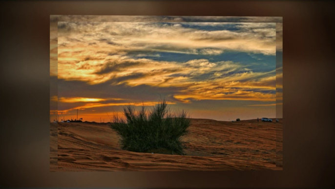 Dubai Desert Safari, Desert Safari Dubai, Evening Safari, Camel Safari, Morning and Night Safari in Dubai- Arabian Night Safari