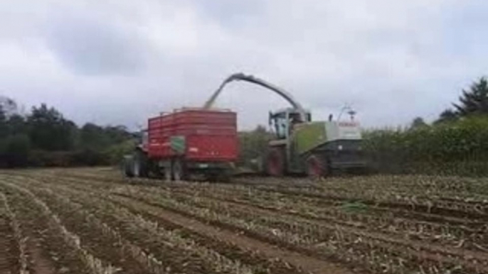 Ensilage 2006, Chantier n°16