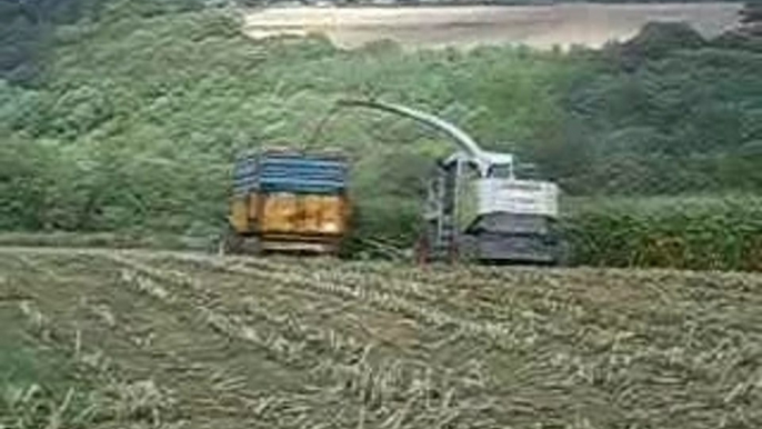 Ensilage 2006, Chantier n°1