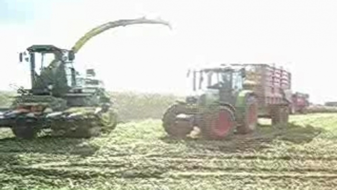 Ensilage 2006, Chantier n°9