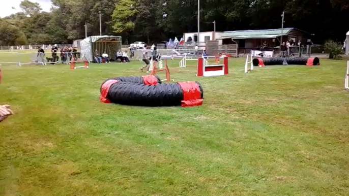 Concours Quimper 24/08/2014 - Jumping