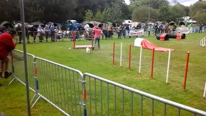 Concours Quimper 24/08/2014 - Heily - Jumping