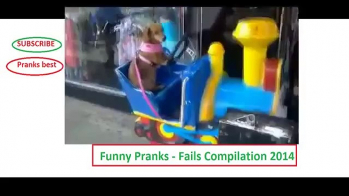 Funny Pranks - Best of funny pranks - funny pranks bf vs gf(Risingformuli)