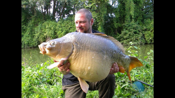 pêche de la carpe dans le canal de la Somme fin juin 2014