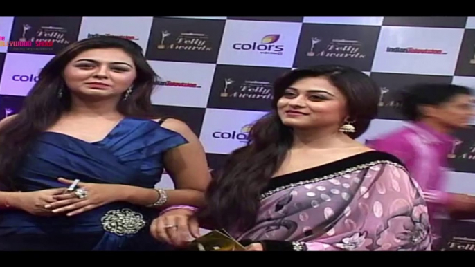 Colors Indian Telly Awards 2014 - Nominations & Winners