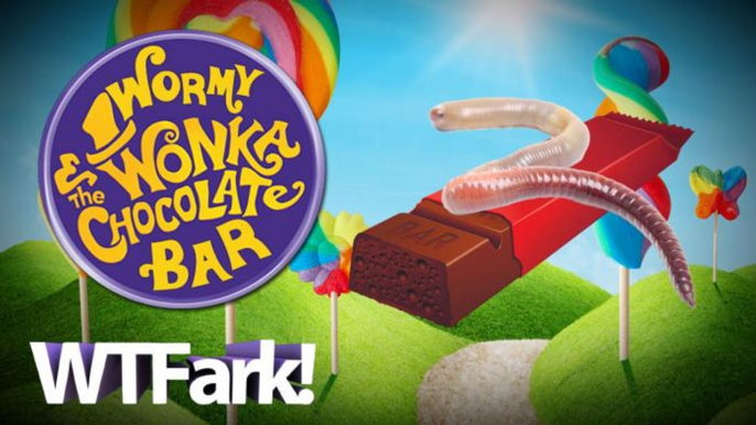 WORMY WONKA AND THE CHOCOLATE BAR: Michigan Woman Finds Worm In Chocolate Bar From Party City. Takes Video, Uploads It To Facebook, Is Upset That Public Facebook Video Is Seen And Shared By The Public.