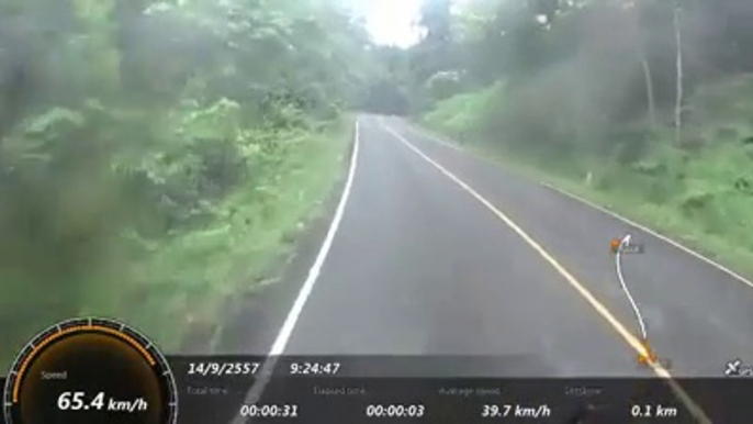 Biker VS angry elephants... So amazing animal attack!