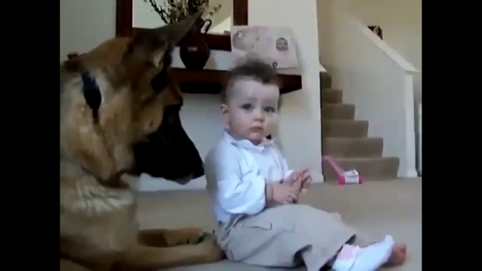 Best Very FunnyDogs And Children Very FunnyVideos with your kids mp4 HD