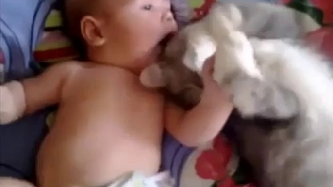 Cute cat loves baby - from funny and cute cats and babies collection - Video Dailymotion