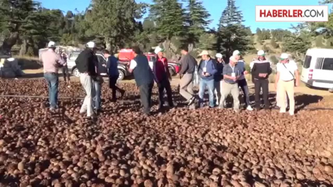 Kırgız Heyete Sürdürülebilir Kalkınma Eğitimi