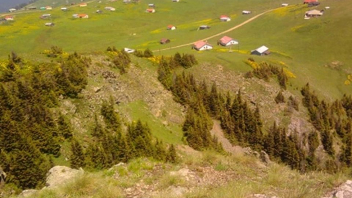 güngör yıldız......MAÇKA ORMANÜSTÜ KÖYÜ YAYLASI (KUSERA YAYLASI)