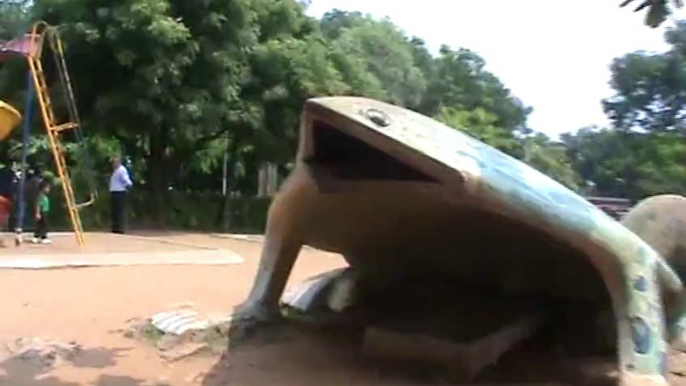 Huge frog sculpture at VUDA park Kailashgiri Mountain Vishakhapatnam Vizag SKMClasses Subhashish 2