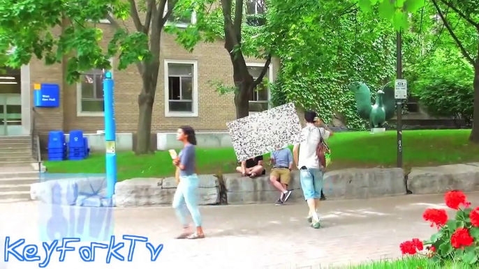 TOP 5 Pranks 2014 - Kissing Prank - Picking Up Girls - Scary Pranks - Pranks Gone Wrong