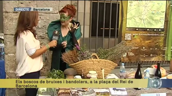 TV3 - Els Matins - Els matins - 15/10/2014