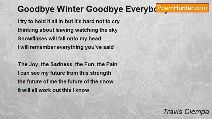 Travis Ciempa - Goodbye Winter Goodbye Everybody